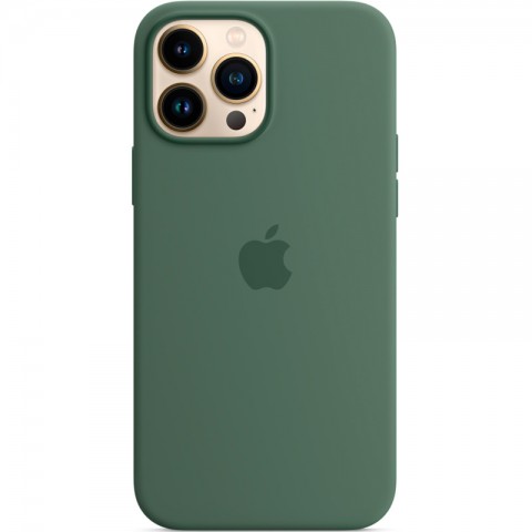 Силиконовый чехол MagSafe для iPhone 13 Pro Max, Eucalyptus-3