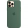 Силиконовый чехол MagSafe для iPhone 13 Pro Max, Eucalyptus