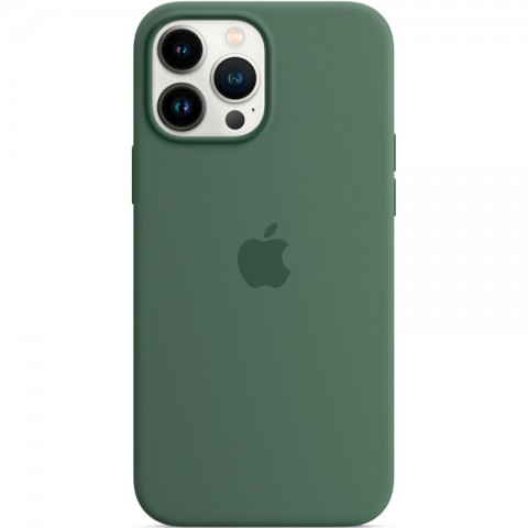 Силиконовый чехол MagSafe для iPhone 13 Pro Max, Eucalyptus-2