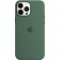 Силиконовый чехол MagSafe для iPhone 13 Pro Max, Eucalyptus