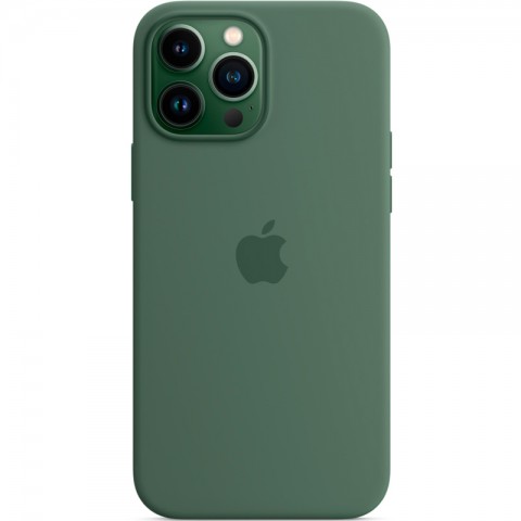 Силиконовый чехол MagSafe для iPhone 13 Pro Max, Eucalyptus