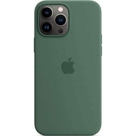 Силиконовый чехол MagSafe для iPhone 13 Pro Max, Eucalyptus-1