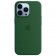 Силиконовый чехол MagSafe для iPhone 13 Pro, Clover