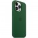 Силиконовый чехол MagSafe для iPhone 13 Pro, Clover