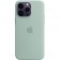 Силиконовый чехол MagSafe для iPhone 14 Pro Max, Succulent