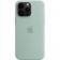 Силиконовый чехол MagSafe для iPhone 14 Pro Max, Succulent