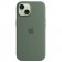 Силиконовый чехол с MagSafe для Apple iPhone 15 в цвете Cypress (Кипарис)