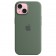 Силиконовый чехол с MagSafe для Apple iPhone 15 в цвете Cypress (Кипарис)
