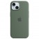 Силиконовый чехол с MagSafe для Apple iPhone 15 в цвете Cypress (Кипарис)