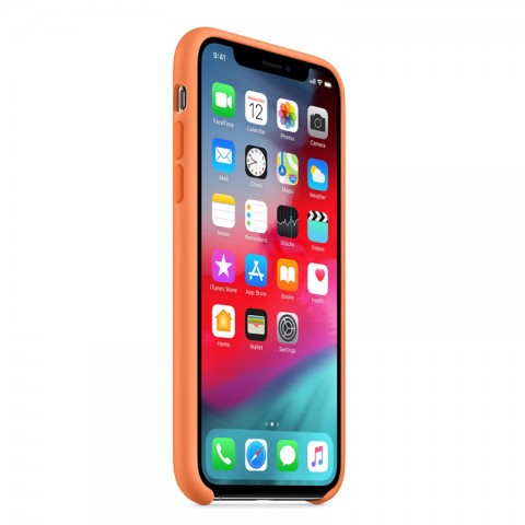 Силиконовый чехол для iPhone Xs, «свежая папайя»-2