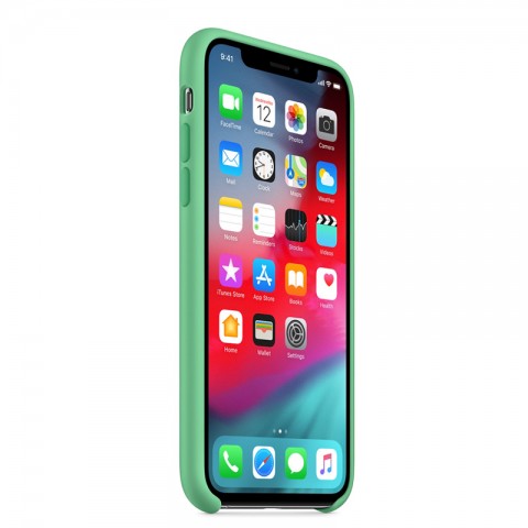 Силиконовый чехол для iPhone Xs, «нежная мята»-2