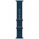 Часы Apple Watch Ultra 2 (GPS+Cellular) 49mm Titanium Case with Ocean Band Blue