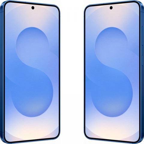 Samsung Galaxy S25 [SM-S931] 12/128Gb Синий-2