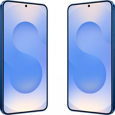 Samsung Galaxy S25+ [SM-S936] 12/256Gb Синий-2