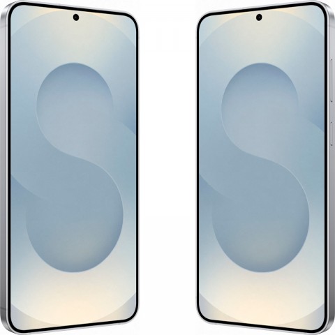 Samsung Galaxy S25+ [SM-S936] 12/256Gb Серый-2