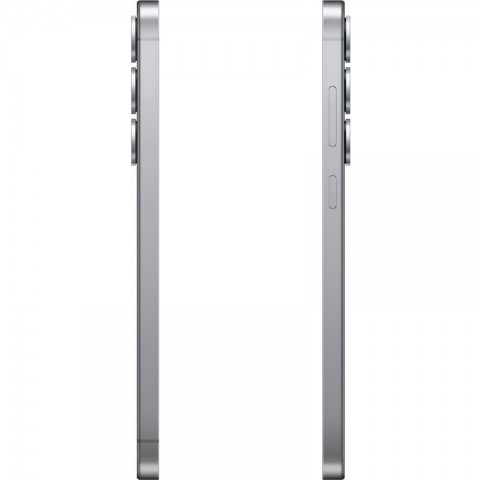 Samsung Galaxy S25+ [SM-S936] 12/256Gb Серый-4