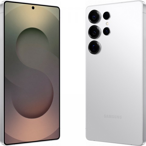 Samsung Galaxy S25 Ultra [SM-S938] 12/256Gb Серебряный титан-1