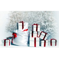 Что подарить на Новый Год 2021?