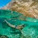 Бокс купольный подводный для Gopro Hero 5/6/7