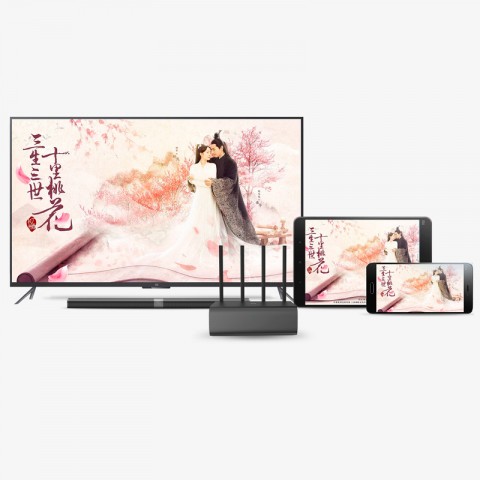 Роутер Xiaomi Mi Router HD 1TB (черный)-7