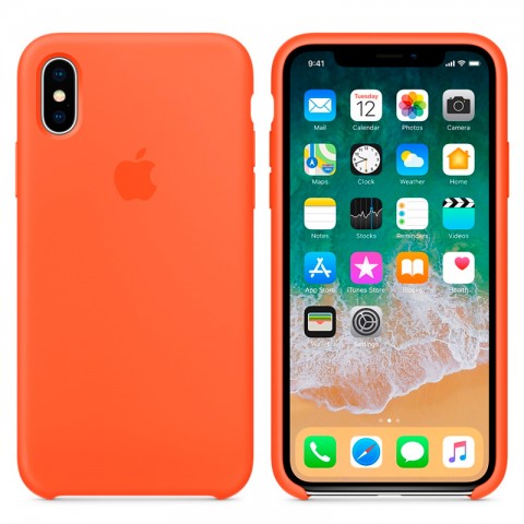 Силиконовый чехол для iPhone X, «оранжевый шафран»-2