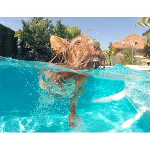 Бокс купольный Dome Port для Gopro 3/3+/4-3