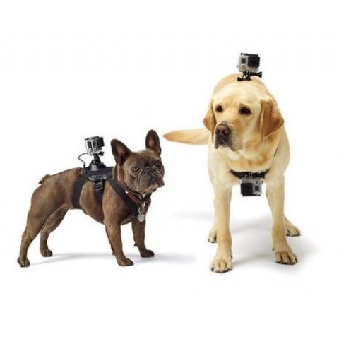 Крепление на собаку для GoPro