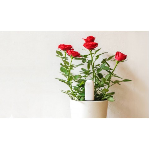 Анализатор почвы и освещенности Xiaomi Smart Flower Monitor-1