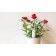 Анализатор почвы и освещенности Xiaomi Smart Flower Monitor