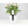 Анализатор почвы и освещенности Xiaomi Smart Flower Monitor