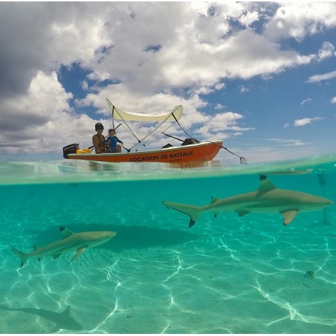 Бокс купольный Dome Port для Xiaomi Yi-3