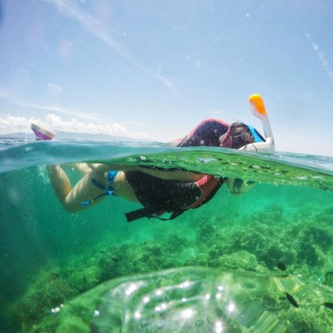 Бокс купольный Dome Port для Xiaomi Yi-2