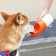 Дорожная поилка для животных Xiaomi Moestar Rocket Portable Pet Cup 310ml, оранжевая