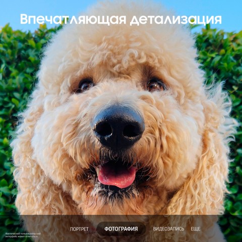 Смартфон Samsung Galaxy S23 [SM-S9110] 8/256Gb Green-5