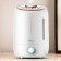 Увлажнитель воздуха Xiaomi Deerma Water Humidifier DEM-F500