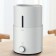 Увлажнитель воздуха Xiaomi Deerma Humidifier DEM-SJS600