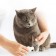 Триммер для когтей домашних животных Xiaomi Pawbby Pet Electric Nail Sharpener