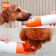 Дорожная поилка для животных Xiaomi Moestar Rocket Portable Pet Cup 430ml, оранжевая
