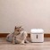 Поилка автоматическая для животных Xiaomi Mijia Smart Pet Water Dispenser