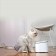 Поилка автоматическая для животных Xiaomi Mijia Smart Pet Water Dispenser