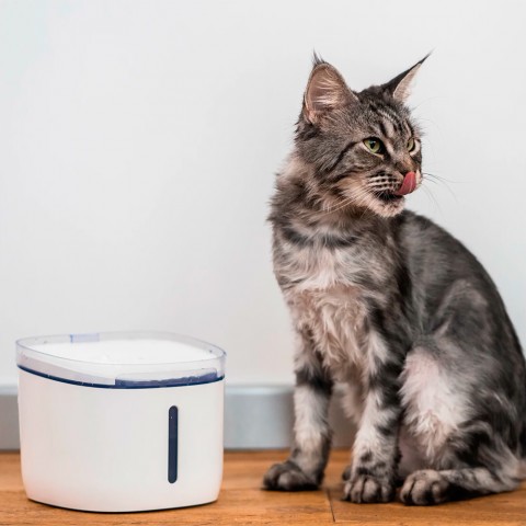 Поилка для животных Xiaomi Petoneer Smart Pet Water Dispenser-4