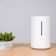 Увлажнитель воздуха Xiaomi SmartMi Air Humidifier (CJJSQ01ZM), белый
