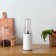 Блендер Xiaomi Pinlo Little Monster Cooking Machine