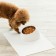 Миска для домашних животных Xiaomi Jordan Judy Pet Bowl