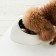 Миска для домашних животных Xiaomi Jordan Judy Pet Bowl