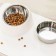 Миска для домашних животных Xiaomi Jordan Judy Pet Bowl