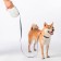 Поводок Xiaomi Jordan Judy Pet Telescopic Traction Rope