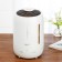 Увлажнитель воздуха Xiaomi Deerma Water Humidifier DEM-F600
