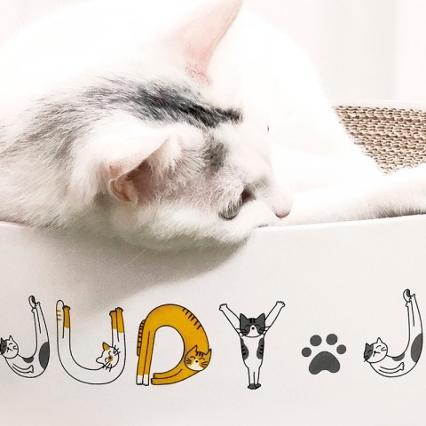 Когтеточка для кошек Xiaomi Jordan & Judy Cat Scratch Board-5