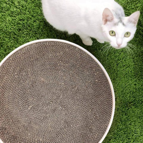 Когтеточка для кошек Xiaomi Jordan & Judy Cat Scratch Board-2